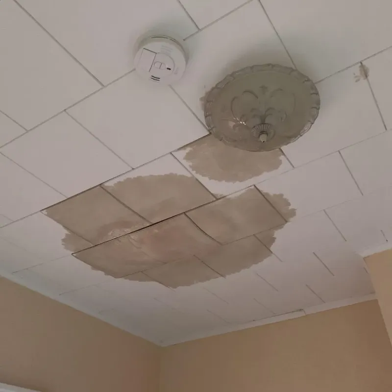 Ceiling Water Damage Repair in Montgomery, PA