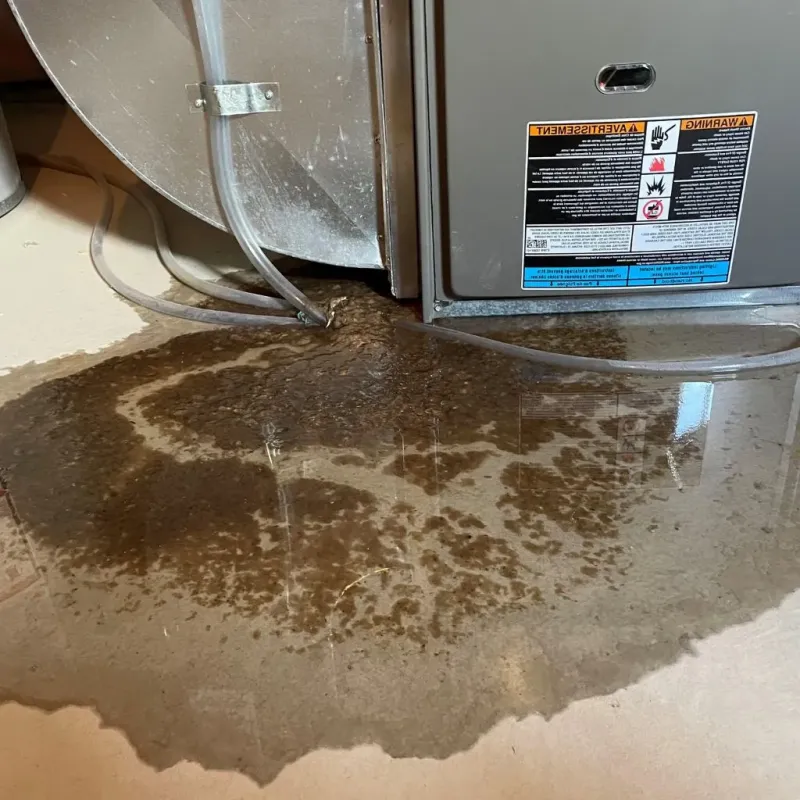 Pipe Burst and Leak Restoration in Montgomery, PA